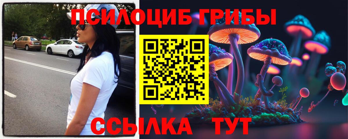Галлюциногенные грибы Psilocybe  Галлюциногенные грибы MAGIC MUSHROOMS  Белгород  Вход с VPN 