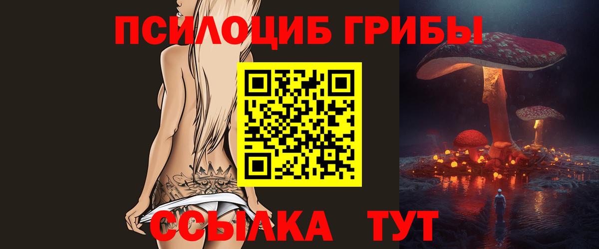 Галлюциногенные грибы Cubensis Белгород